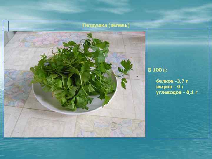 Петрушка (зелень) В 100 г: белков -3, 7 г жиров - 0 г углеводов