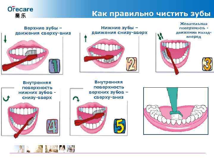 Как правильно чистить зубы Верхние зубы – движения сверху-вниз Внутренняя поверхность нижних зубов снизу-вверх