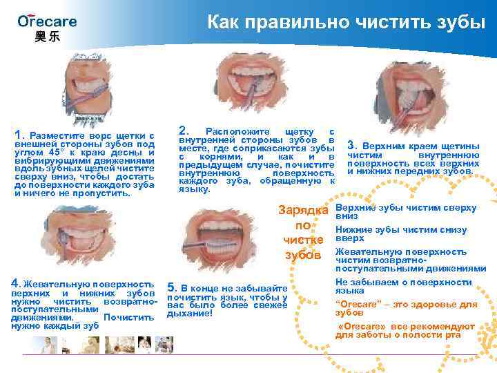 Как правильно чистить зубы 1. Разместите ворс щетки с внешней стороны зубов под углом