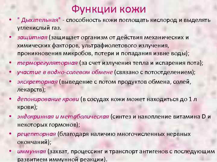 Функции кожи • 