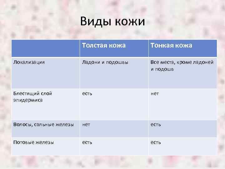 Виды кожи Толстая кожа Тонкая кожа Локализация Ладони и подошвы Все места, кроме ладоней