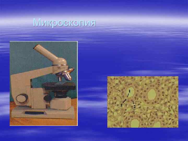 Микроскопия 