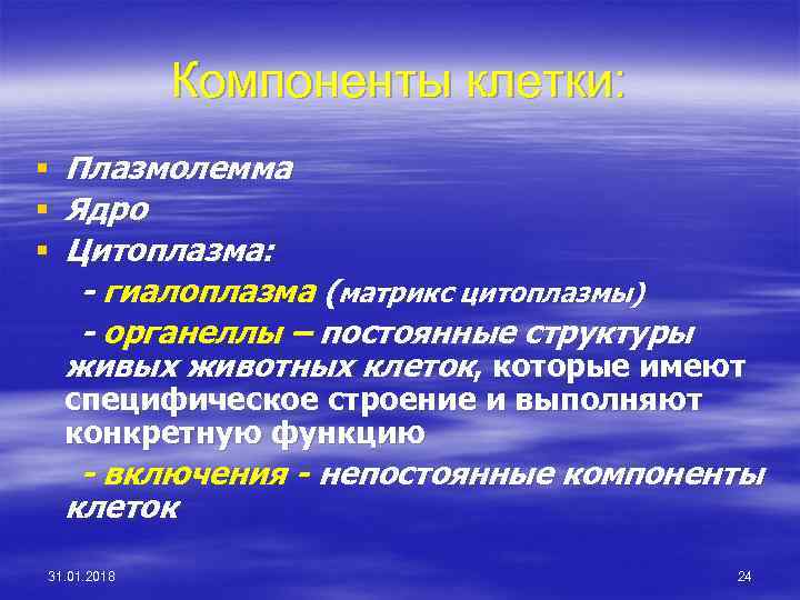 Компоненты клетки: § Плазмолемма § Ядро § Цитоплазма: - гиалоплазма (матрикс цитоплазмы) - органеллы