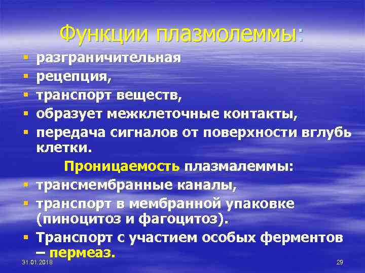 Функции плазмолеммы: разграничительная рецепция, транспорт веществ, образует межклеточные контакты, передача сигналов от поверхности вглубь