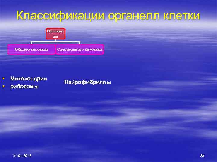 Классификации органелл клетки Органеллы Общего значения § Митохондрии § рибосомы 31. 01. 2018 Специального