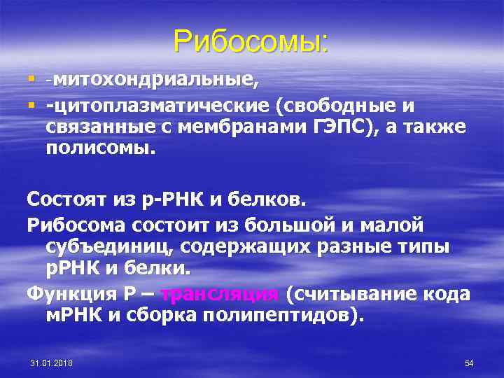 Рибосомы: § -митохондриальные, § -цитоплазматические (свободные и связанные с мембранами ГЭПС), а также полисомы.