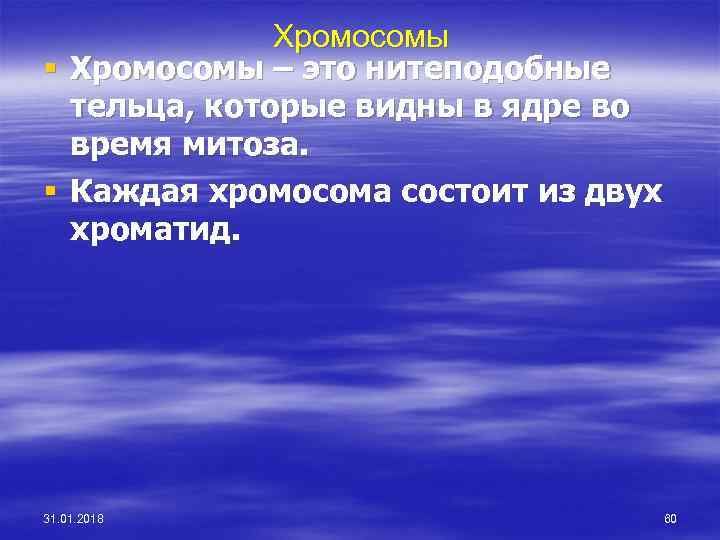 Хромосомы § Хромосомы – это нитеподобные тельца, которые видны в ядре во время митоза.