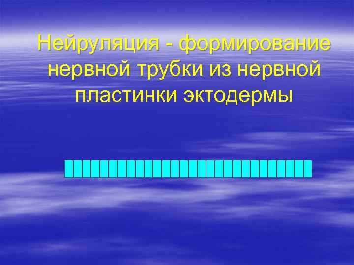 Нейруляция - формирование нервной трубки из нервной пластинки эктодермы 