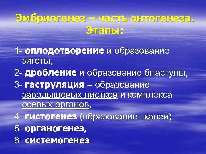 Эмбриогенез – часть онтогенеза. Этапы: 1 - оплодотворение и образование зиготы, 2 - дробление