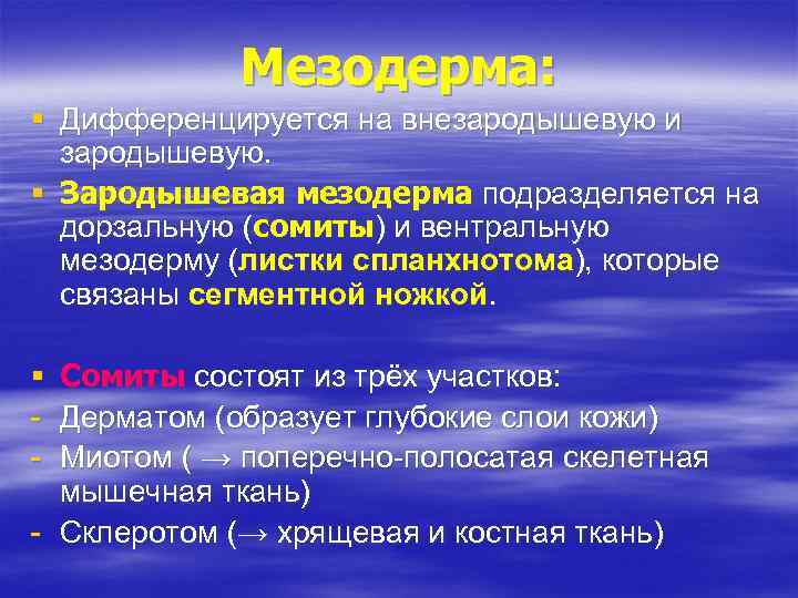 Мезодерма: § Дифференцируется на внезародышевую и зародышевую. § Зародышевая мезодерма подразделяется на дорзальную (сомиты)
