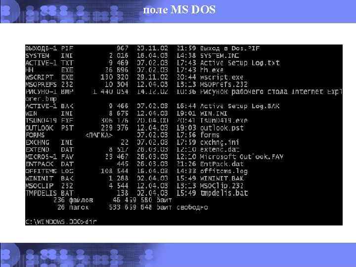 поле MS DOS 