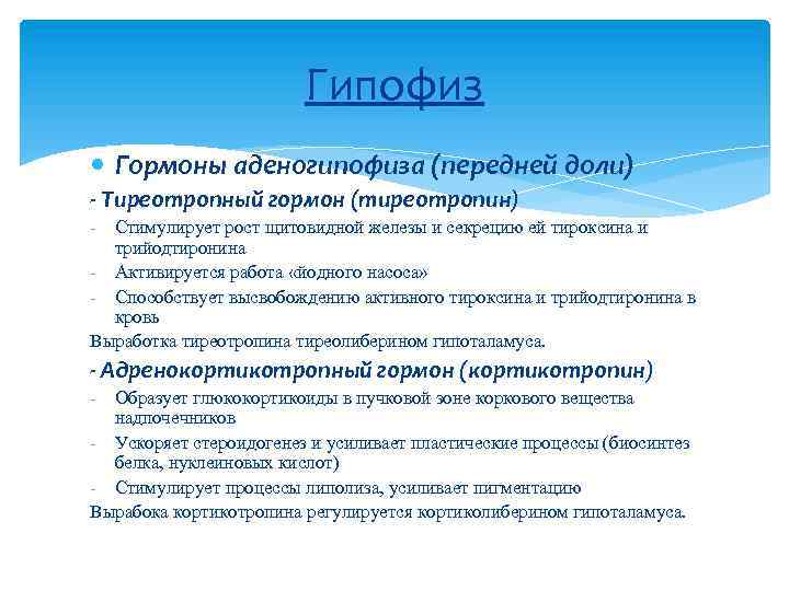 Гипофиз Гормоны аденогипофиза (передней доли) - Тиреотропный гормон (тиреотропин) - Стимулирует рост щитовидной железы