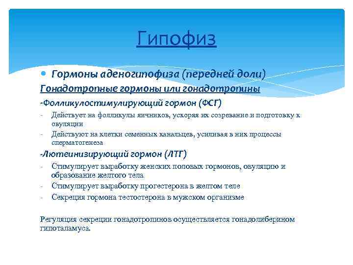 Гипофиз Гормоны аденогипофиза (передней доли) Гонадотропные гормоны или гонадотропины -Фолликулостимулирующий гормон (ФСГ) - Действует