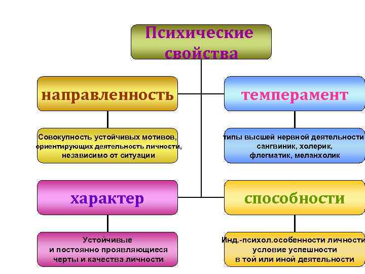 Психические свойства направленность темперамент Совокупность устойчивых мотивов, независимо от ситуации типы высшей нервной деятельности: