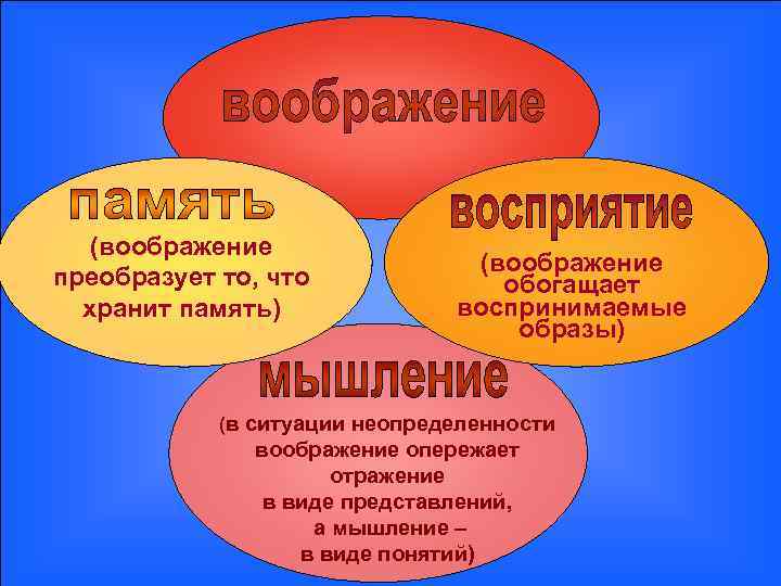 (воображение преобразует то, что хранит память) (воображение обогащает воспринимаемые образы) (в ситуации неопределенности воображение