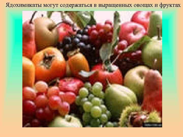 Ядохимикаты могут содержаться в выращенных овощах и фруктах 