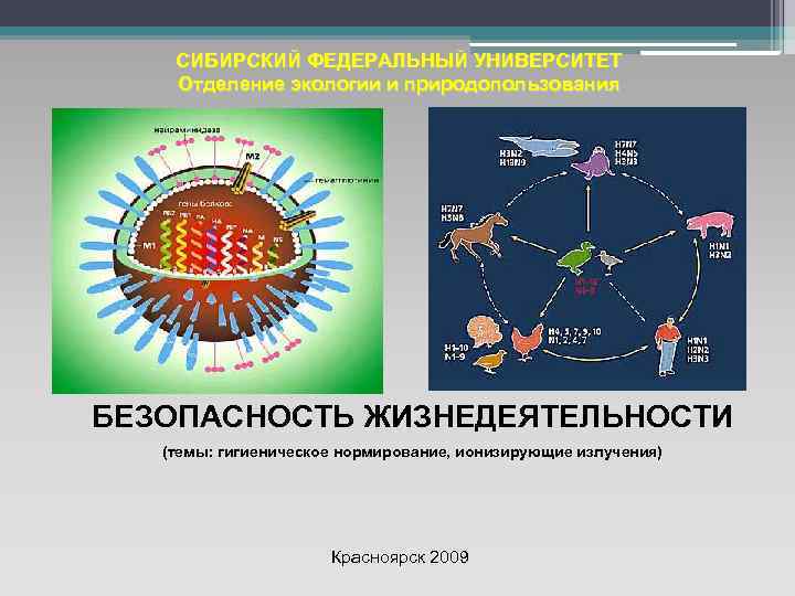 СИБИРСКИЙ ФЕДЕРАЛЬНЫЙ УНИВЕРСИТЕТ Отделение экологии и природопользования БЕЗОПАСНОСТЬ ЖИЗНЕДЕЯТЕЛЬНОСТИ (темы: гигиеническое нормирование, ионизирующие излучения)