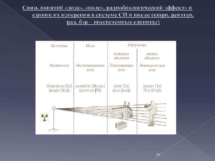 Связь понятий «доза» , «поле» , радиобиологический эффект» и единиц их измерения в системе