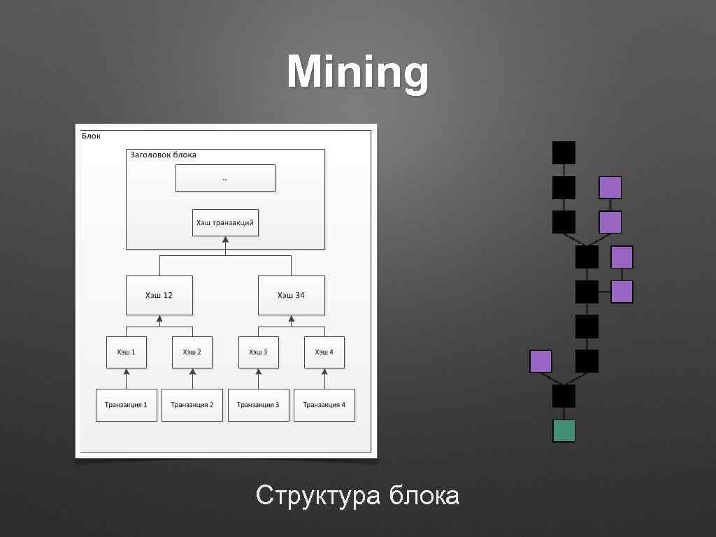 Mining Структура блока 