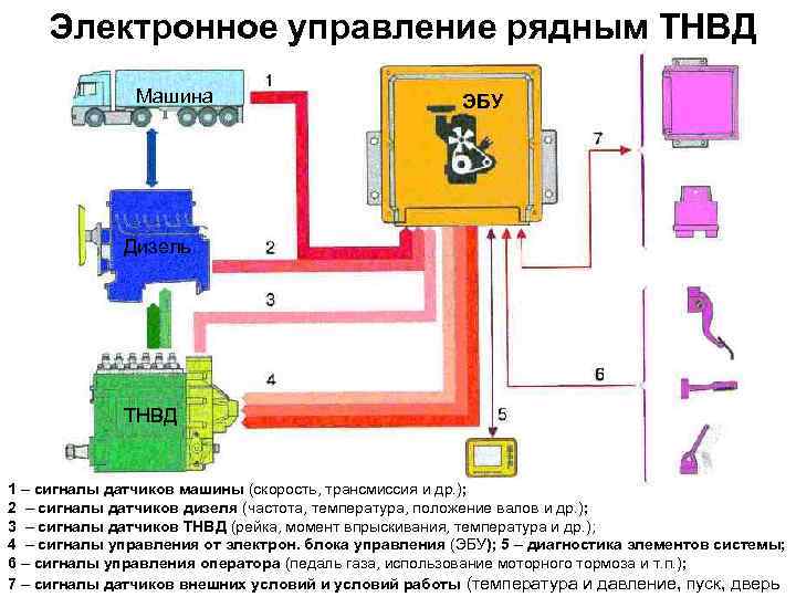 Электронное управление рядным ТНВД Машина ЭБУ Дизель ТНВД 1 – сигналы датчиков машины (скорость,