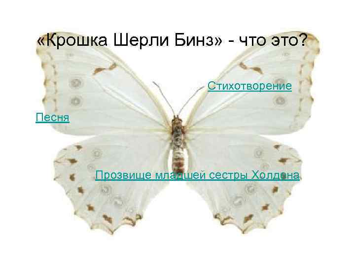  «Крошка Шерли Бинз» - что это? Стихотворение Песня Прозвище младшей сестры Холдена 