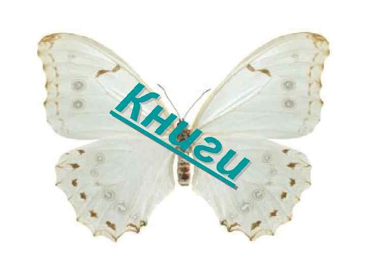 Кн иг и 