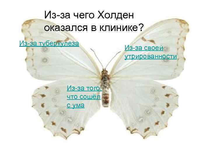 Из-за чего Холден оказался в клинике? Из-за туберкулеза Из-за того, что сошёл с ума