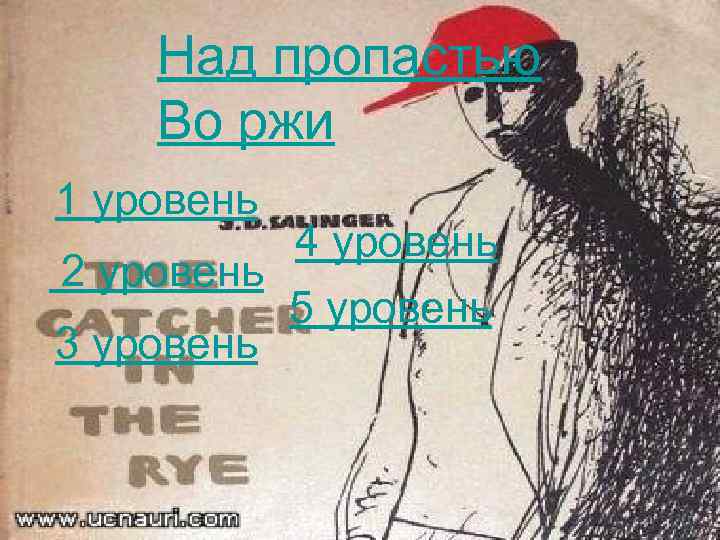 Над пропастью Во ржи 1 уровень 4 уровень 2 уровень 5 уровень 3 уровень