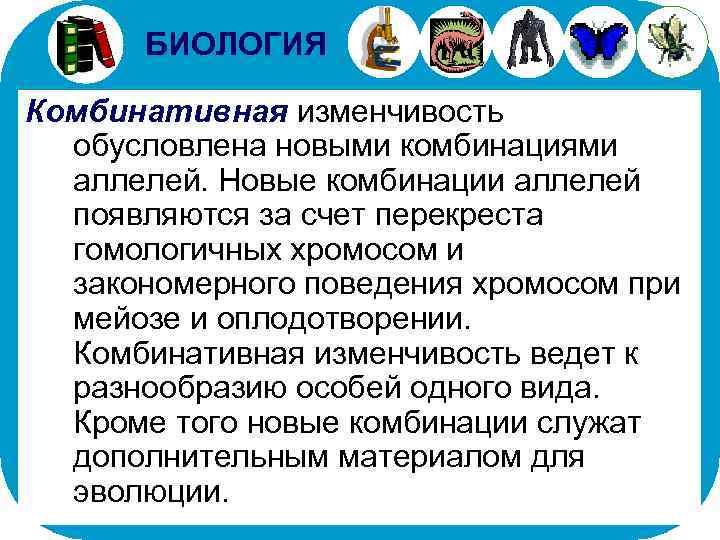 БИОЛОГИЯ Комбинативная изменчивость обусловлена новыми комбинациями аллелей. Новые комбинации аллелей появляются за счет перекреста