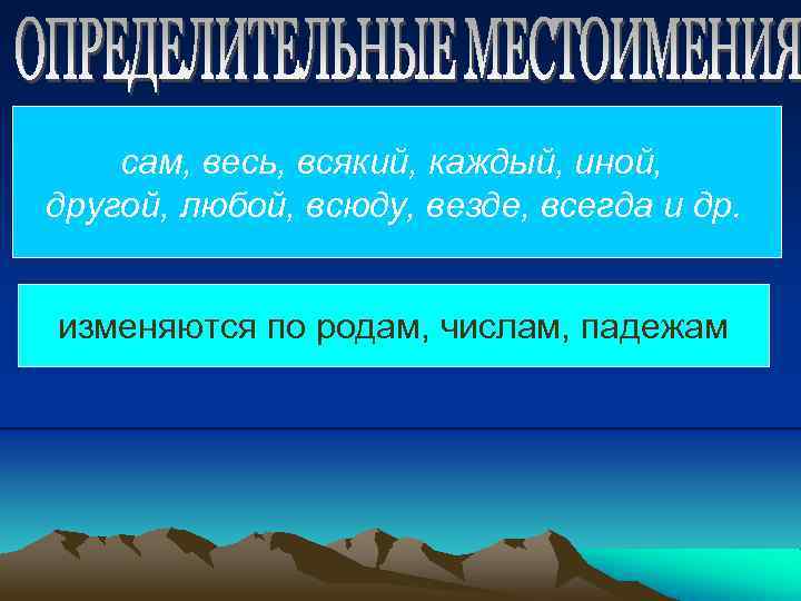 сам, весь, всякий, каждый, иной, другой, любой, всюду, везде, всегда и др. изменяются по