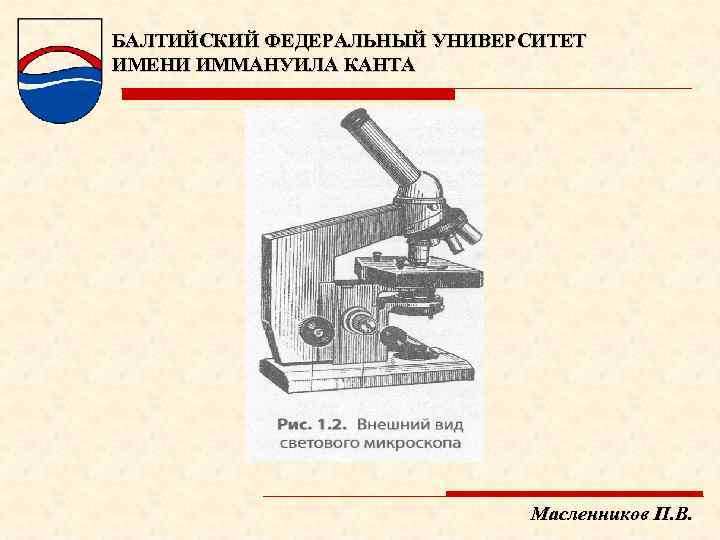 БАЛТИЙСКИЙ ФЕДЕРАЛЬНЫЙ УНИВЕРСИТЕТ ИМЕНИ ИММАНУИЛА КАНТА Масленников П. В. 