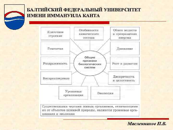 БАЛТИЙСКИЙ ФЕДЕРАЛЬНЫЙ УНИВЕРСИТЕТ ИМЕНИ ИММАНУИЛА КАНТА Масленников П. В. 