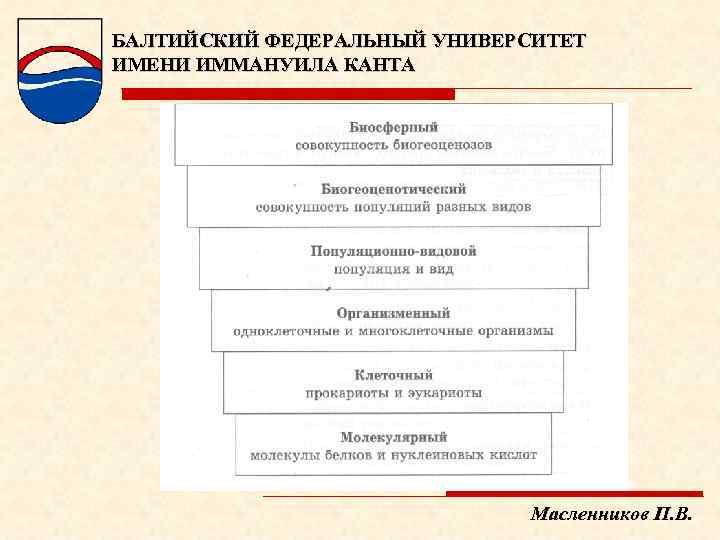 Балтийский федеральный университет имени иммануила канта учебные планы