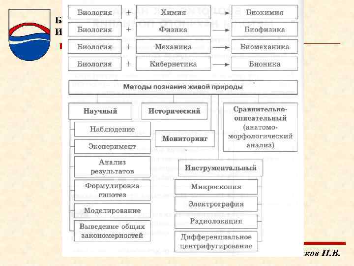 БАЛТИЙСКИЙ ФЕДЕРАЛЬНЫЙ УНИВЕРСИТЕТ ИМЕНИ ИММАНУИЛА КАНТА Масленников П. В. 
