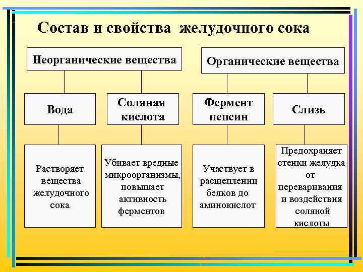 Состав и свойства желудочного сока Неорганические вещества Вода Растворяет вещества желудочного сока Соляная кислота