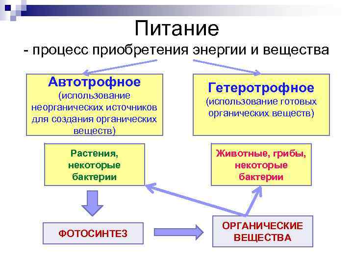 Какое основное средство защиты обязательно используется на периметре сети организации антивирус