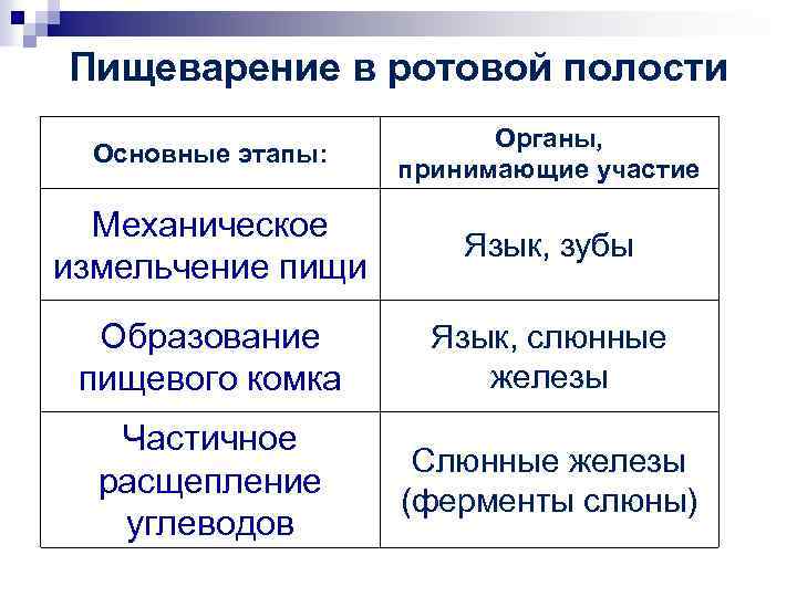 Пищеварение в ротовой полости Основные этапы: Органы, принимающие участие Механическое измельчение пищи Язык, зубы