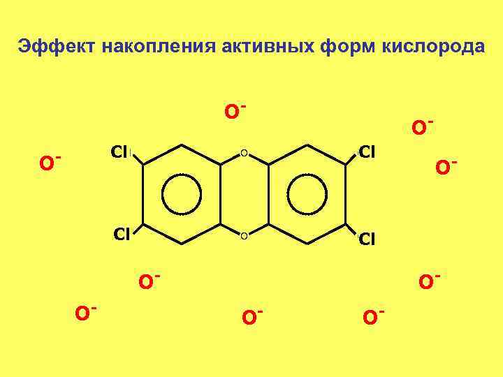 Эффект накопления активных форм кислорода OO O- Cl Cl O Cl Cl Cl -