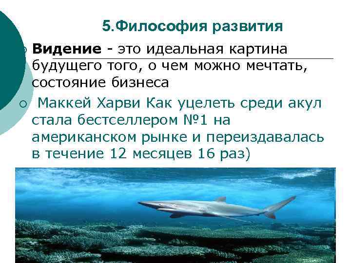 5. Философия развития Видение - это идеальная картина будущего того, о чем можно мечтать,