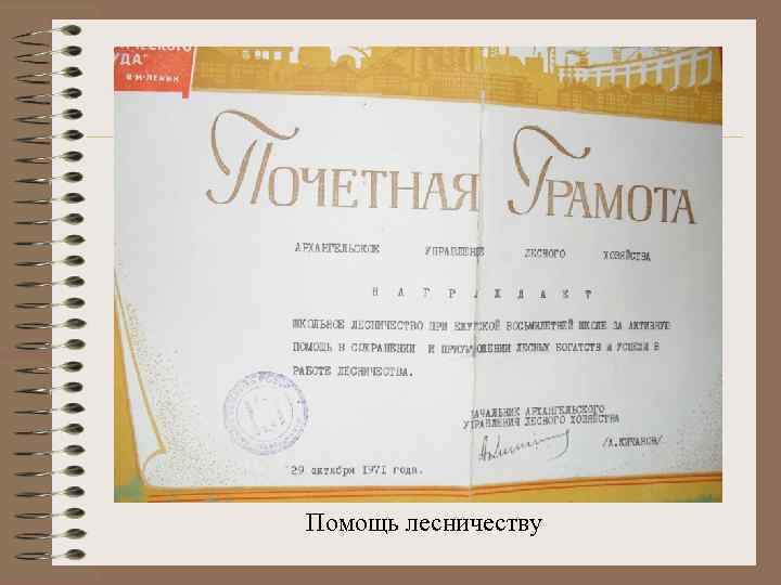 Помощь лесничеству 