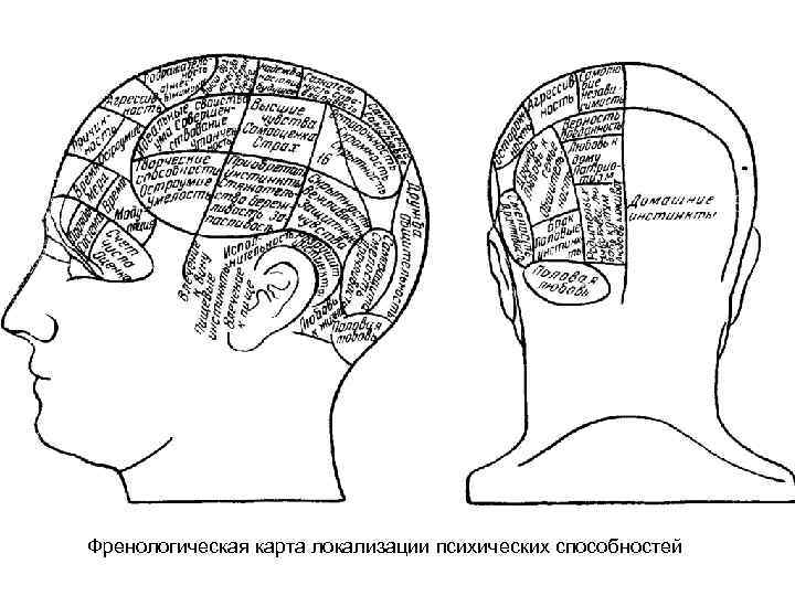 Френологическая карта локализации психических способностей 
