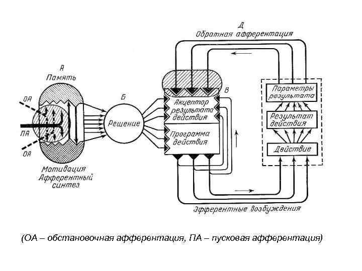 (ОА – обстановочная афферентация, ПА – пусковая афферентация) 