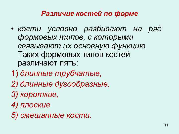 Различие костей по форме • кости условно разбивают на ряд формовых типов, с которыми