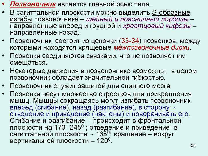  • Позвоночник является главной осью тела. • В сагиттальной плоскости можно выделить S