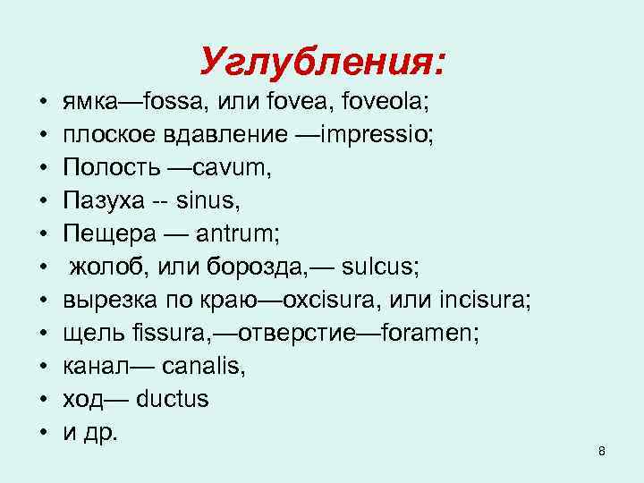 Углубления: • • • ямка—fossa, или fovеa, foveola; плоское вдавление —imprеssio; Полость —cavum, Пазуха