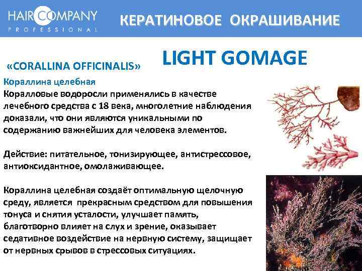 КЕРАТИНОВОЕ ОКРАШИВАНИЕ «CORALLINA OFFICINALIS» LIGHT GOMAGE Кораллина целебная Коралловые водоросли применялись в качестве лечебного