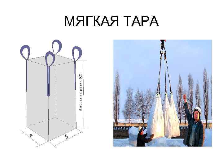 МЯГКАЯ ТАРА 