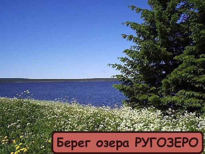 Берег озера РУГОЗЕРО 