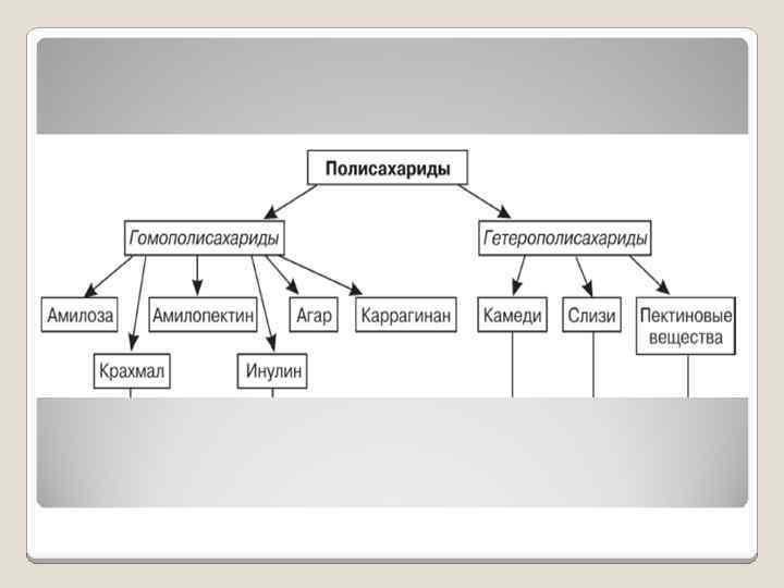 Полисахарид 7 букв. Полисахариды гомополисахариды гетерополисахариды. Гетерополисахариды классификация. Гомо Поли сахориды Гетеро. Классификация полисахаридов схема.