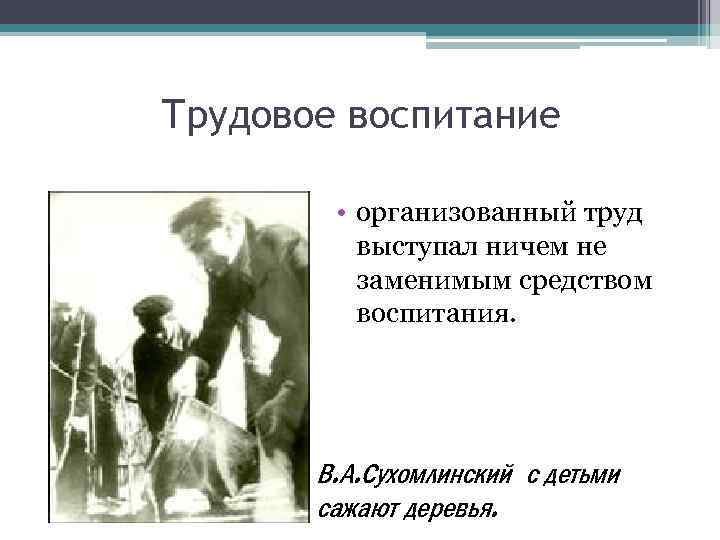 Трудовое воспитание • организованный труд выступал ничем не заменимым средством воспитания. В. А. Сухомлинский